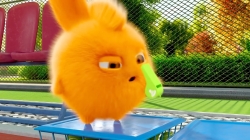 انیمیشن سانی بانیز قسمت 527 - sunny bunnies